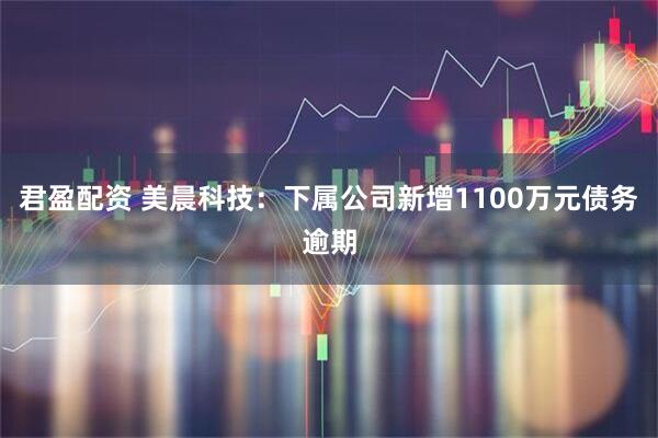 君盈配资 美晨科技：下属公司新增1100万元债务逾期