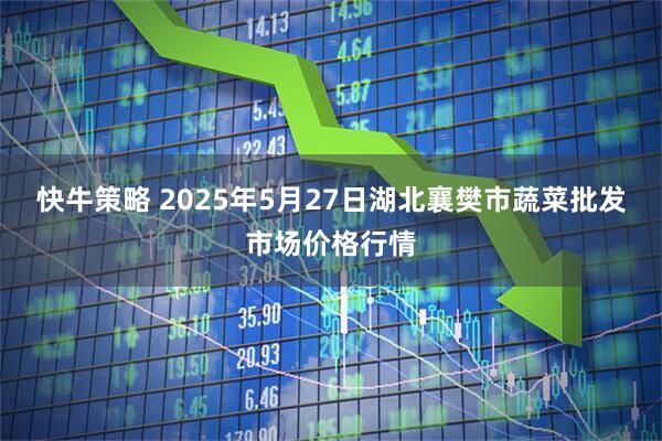 快牛策略 2025年5月27日湖北襄樊市蔬菜批发市场价格行情