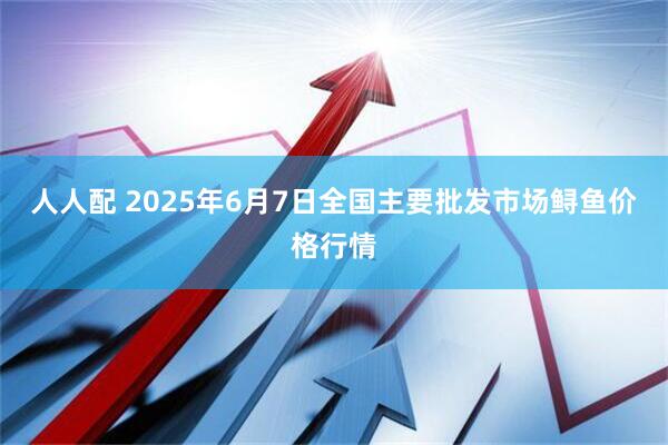 人人配 2025年6月7日全国主要批发市场鲟鱼价格行情