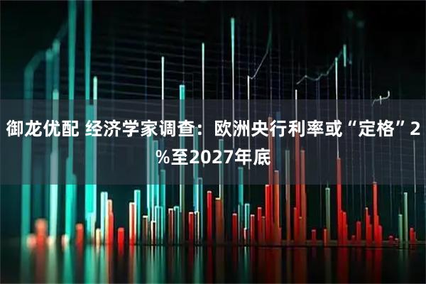 御龙优配 经济学家调查:欧洲央行利率或“定格”2%至2027年底