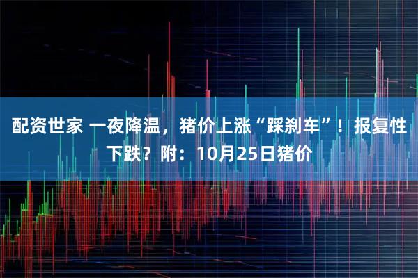 配资世家 一夜降温,猪价上涨“踩刹车”!报复性下跌?附:10月25日猪价