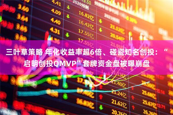 三叶草策略 年化收益率超6倍、碰瓷知名创投:“启明创投QMVP”套牌资金盘被曝崩盘