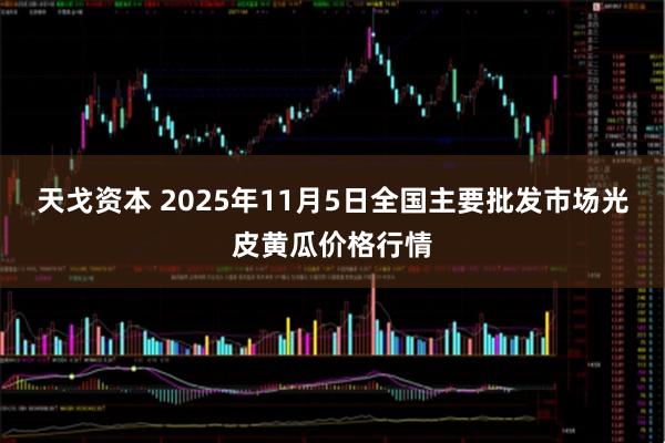 天戈资本 2025年11月5日全国主要批发市场光皮黄瓜价格行情