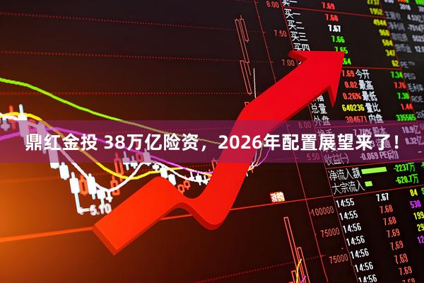 鼎红金投 38万亿险资，2026年配置展望来了！
