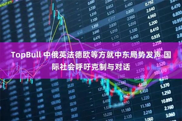 TopBull 中俄英法德欧等方就中东局势发声 国际社会呼吁克制与对话
