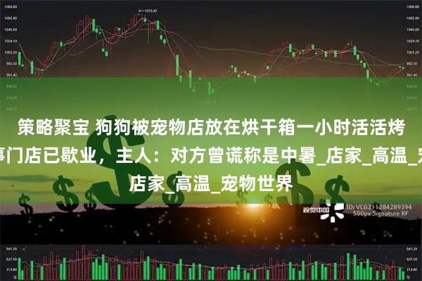 策略聚宝 狗狗被宠物店放在烘干箱一小时活活烤死？涉事门店已歇业，主人：对方曾谎称是中暑_店家_高温_宠物世界