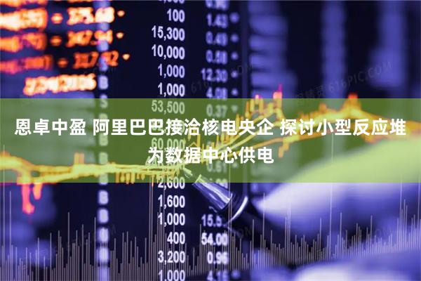 恩卓中盈 阿里巴巴接洽核电央企 探讨小型反应堆为数据中心供电