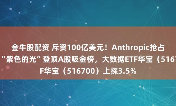 金牛股配资 斥资100亿美元！Anthropic抢占数据中心资源！“紫色的光”登顶A股吸金榜，大数据ETF华宝（516700）上探3.5%
